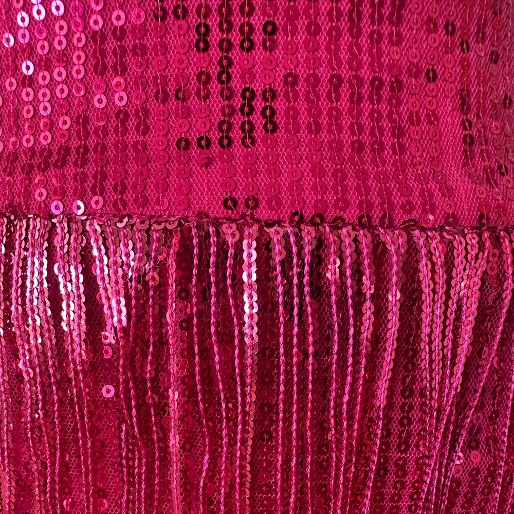 Dolly Parton Style Pink Fringe Skirt - Picture 4 of 4